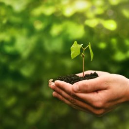 concept-of-the-environment-world-earth-day-protec-2022-11-16-17-03-28-utc (Mediano)